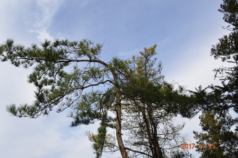 DSC_0272.JPG