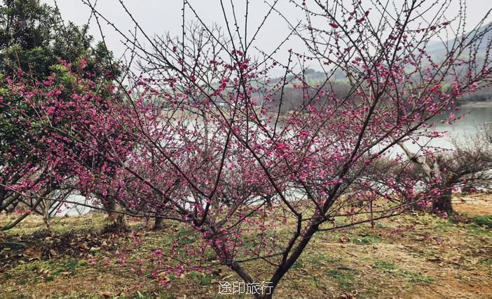 微信图片_202503041650391.jpg