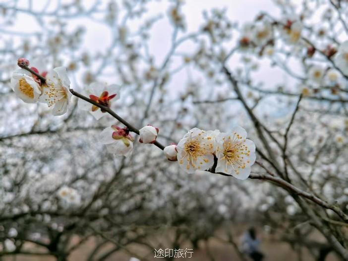 微信图片_202503041650421.jpg