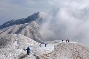 【两人报名立减80】1.2-1.3漫步云端、畅游白色海洋（火车班）