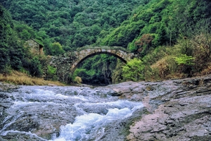 探寻新昌的山水秘境，徒步宛如仙境的安山古道