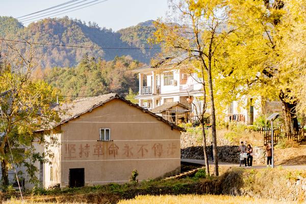 最后4个空位【银杏最美季节】11.26马岭关穿越鳌山头，赏杨家村十里银杏
