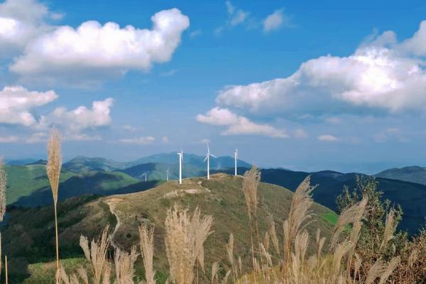 【满】12.2徒步浙中名山之首—东白山，登顶太白尖，观高山草甸，赏风车飞舞