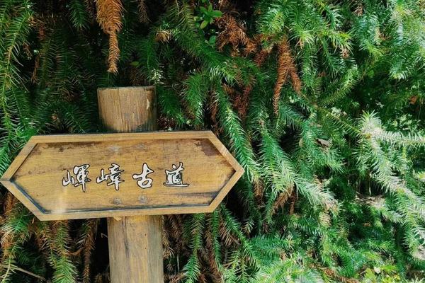 最后2个空位【虐线】6.1华东十大经典线路—军嶂古道大环线徒步 