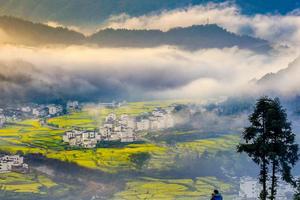 【两人报名立减80】清明节4.4-4.6以婺源之名开春，悠游古村，醉美汪槎等你来