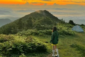 【两人报名立减80】1.31-2.1台州“小川西”大雷山，穿越“十里铁甲龙”