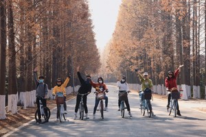 限定版横沙岛，东海堤坝湿地抓小螃蟹，花海世界，金色稻田，挑战28公里变身追风少年！