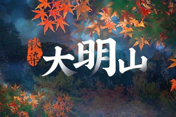 满【爆款】11.30徒步秋意大明山：不是黄山，胜似黄山