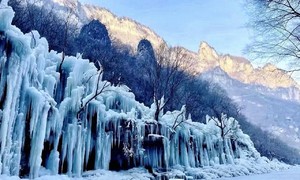 【1.15前早鸟价】1.23-1.25全新升级5A云台山，穿挂壁、看千米冰挂，打卡万岁山武侠城的侠客世界