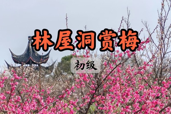 满【世纪大道出发】3.1号西山岛林屋洞梅海，拜天下第一财神，徒步登高望缥缈太湖
