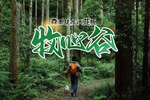 森系徒步天花板牧心谷，浙江”版哀牢山“，闯入童话森林，骑行秘境千岛湖