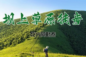 【7.1前早鸟价】 7.17-19坝上草原 | 深度草原轻徒步/邂逅松林、风车/骑马体验/烤羊腿/等日落望星空