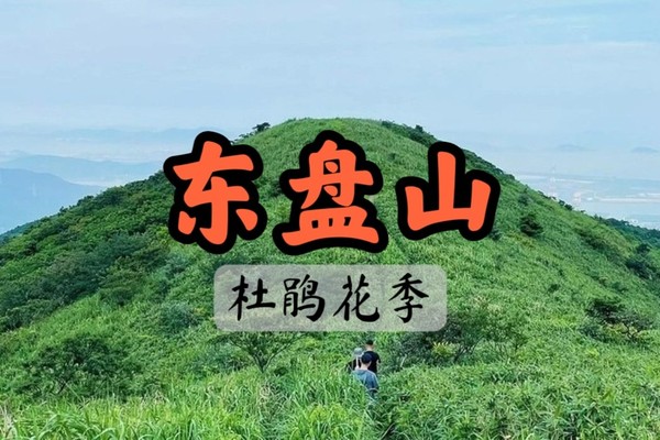 【满】4.20徒步宁波东盘山，看芦花飘荡，寻风车草甸映山红，赏北仑小武功山
