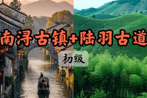 【周三前早鸟价130】12.21南浔古镇+陆羽古道徒步、登顶霞幕山，俯瞰万亩茶山 小众优美