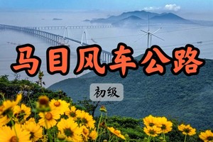 【周二前早鸟价139】【世纪大道出发】5.23这条满山鲜花盛开的徒步路线美爆啦~ 大海、风车、公路、森林...