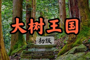 【周三前早鸟价149】4.5西天目山大树王国，中国人自己的“熊野古道”，探秘华东最后的原始森林