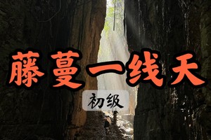【周三前早鸟价139】【世纪大道出发】12.21原始丛林藤蔓秘境、小众探险、这个隐秘的“宁波一线天”