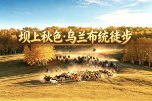 成团【9.5前早鸟价】10.3-10.7乌兰布统40公里深度户外徒步+金山岭长城+小众私家路线+原始森林+将军泡子日出