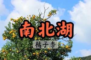 【周四前特价120】【橘子季】10.11漫步谈仙岭古道,望南北湖,赏山海湖奇观