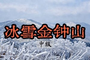 成行【小众雪线人少】1.31踏雪觅景 登四明山巅赏冰雪金钟山