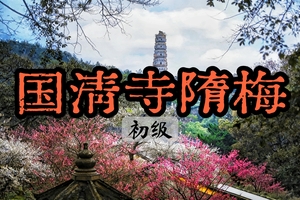 【1400年的隋梅开了】2.1【国清寺】打卡唐诗之路 — 霞客古道、新年祈福探访千年古刹国清寺