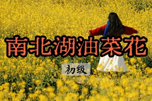 【周二前早鸟价130】4.4徒步南北湖 | 漫步嘉兴海盐，油菜花限定盛开