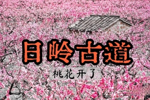 最佳花期【周二前早鸟价138】3.28徒步十里桃花日岭古道，探访地质奇观夫人石