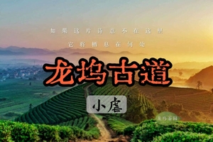 【周二前早鸟价139】【小虐】4.4 行走山脊，徒步龙坞，探秘杭城仅存古道