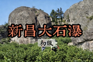 【周二前早鸟价139】4.11刷爆朋友圈！新昌这条徒步线藏着奇石、石瀑和治愈古村