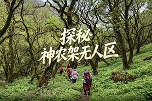 【8.20前早鸟价】9.11-13轻装徒步神农架原始森林~觅神农仙境，探野人之谜