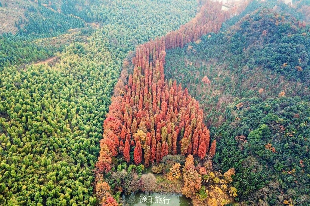 12.13走进油画般大禹谷,爬余杭最高"富士山",赏长乐林场醉美秋色