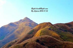 【惠东1天】惠州大南山大草坡穿越、漫山遍野芦苇荡下摄影、云中漫步斧头石、茅草路山野徒步一日游