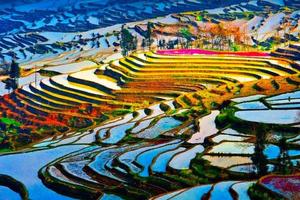 2026年春节丨滇东南 昆明 弥勒 建水 元阳梯田 罗平油菜花双动纯玩7日游