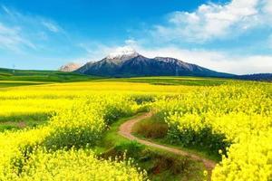 【2026春节】罗平油菜花、黄果树瀑布 马岭河大峡谷5日游