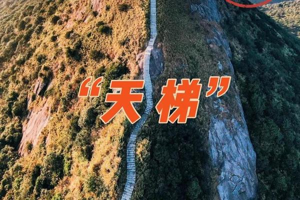 B线【梅沙尖1日游】深圳第三峰梅沙尖攀登、打卡360°全景绝美“天梯”山海一色融合、运动健身、寻找野趣 一日游 