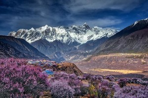 【大美林芝】  冰雪包裹的桃花才是中国最美的春天  林芝桃花+波密桃花+索松村+然乌湖+来古冰川+巴松措+羊卓雍措7日游