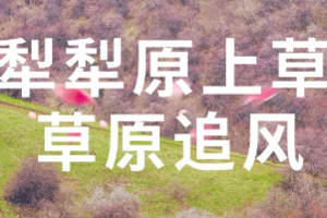 【绝色新疆·春季伊犁游 7日】2-6人团 独库公路 那拉提草原 赛里木湖 国防公路 恰西 薰衣草 琼库什台 全景精品小团