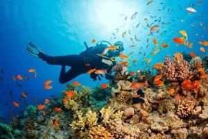 【惠州】盐洲岛红树林渔船出海打渔观白鹭纷飞、渔舟唱晚、黑排角，海滨温泉、天后宫、入住海景酒店二天