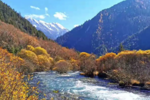 【2026春节】成都九寨沟、黄龙、乐山大佛、峨嵋山7天