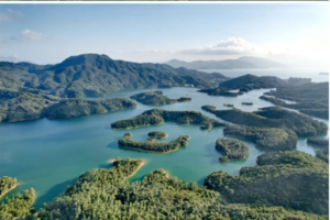 麦径百公里系列之9段,10段｜大棠枫香林、千岛湖清景台、原始森林小公路