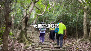 【茶马古道+盐灶村】11.8周六，特价55起，探秘大鹏茶马古道，坝光盐灶村，银叶树湿地公园