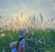 【新线】11月9日美拍清远江边千亩芦苇花盛开+广东小三峡—飞来峡古栈道，尝北江美味河鲜~ 特价：88元起 