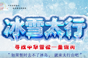 【冰雪太行山】寻找中华雪松-圣诞树/探秘万年冰宫-冰蘑菇洞/穿越冰雪长廊-通天峡/寻访雪中古村-石板岩4天