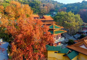 成团，12.21周日【狂飙江门】圭峰山寻秋看枫叶，三十三墟街地道美食，吃强哥猪脚面