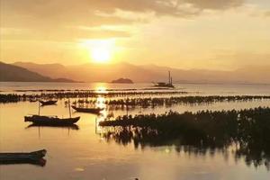 【巽寮湾+盐洲岛】H2巽寮湾游轮出海，沙滩戏水，磨子石，烧烤，篝火狂欢，盐洲岛出海打渔观白鹭纷飞，彩石滩美拍赶海二天