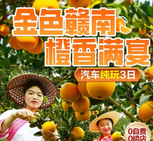 【金色赣南3天】橙香满宴乘世界级森林小火车·揽胜关西围·体验白鹭古村非遗村席·亲子采摘 汽车纯玩3日