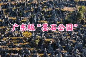 周六1.17，广东版“墨石公园”，梅子坪超震撼的黑色石林