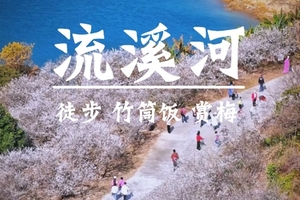 1.10周六【流溪河梅花】徒步赏梅花，逛古镇，品特色竹筒饭