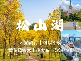 【黄花风铃木】3.22周日，松山湖黄花风铃木盛开，环湖骑行，不骑车也可以。