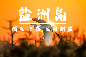 【捕鱼看日落】3.7周六，盐洲岛坐船出海捕鱼，绝美海上日落，体验古法制盐，美拍彩石